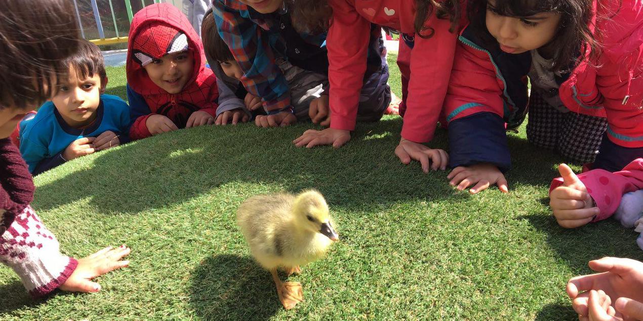 دنیای تجربه در فائزون